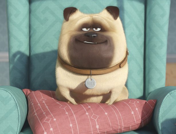 putlocker the secret life of pets putlocker the secret life of pets