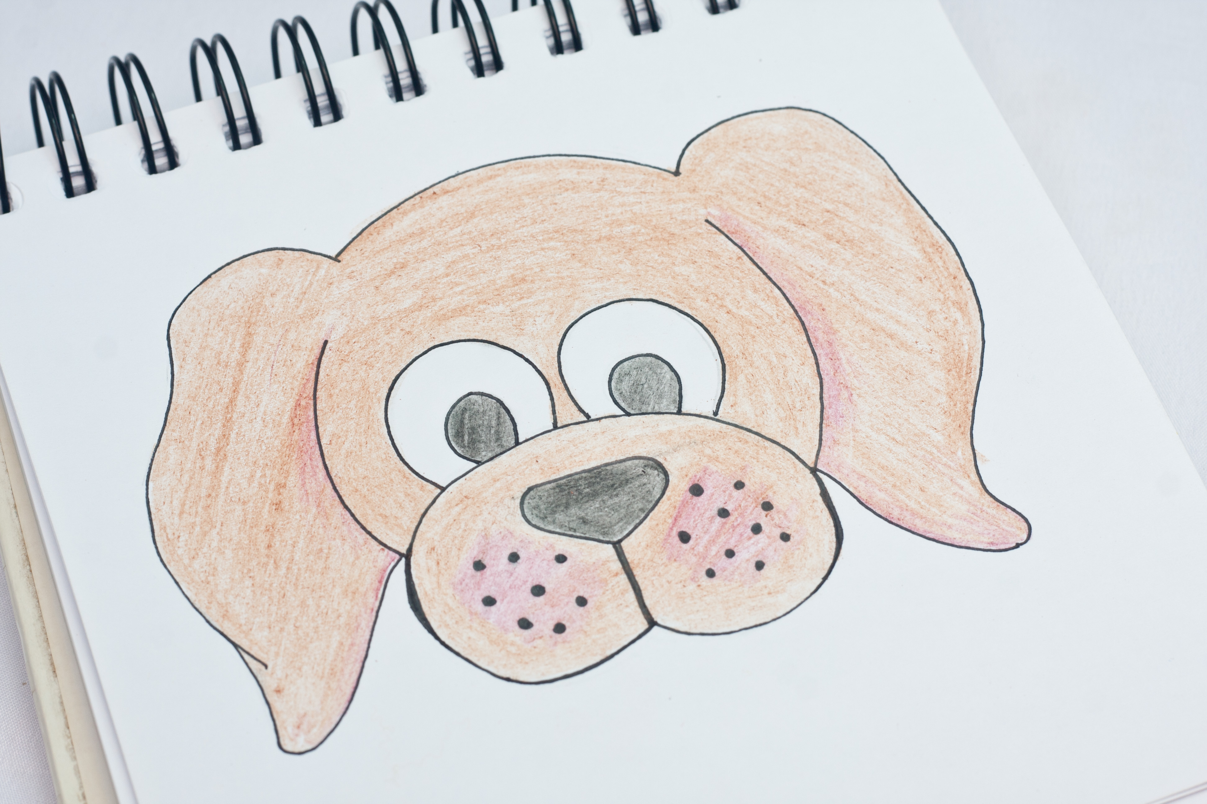 cartoon dog face drawing easy add facial features to a cartoon dog step 6 1 1